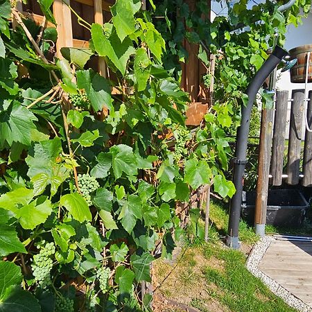 Willa Blockhaus Im Sueden Deutschlands Höchenschwand Zewnętrze zdjęcie